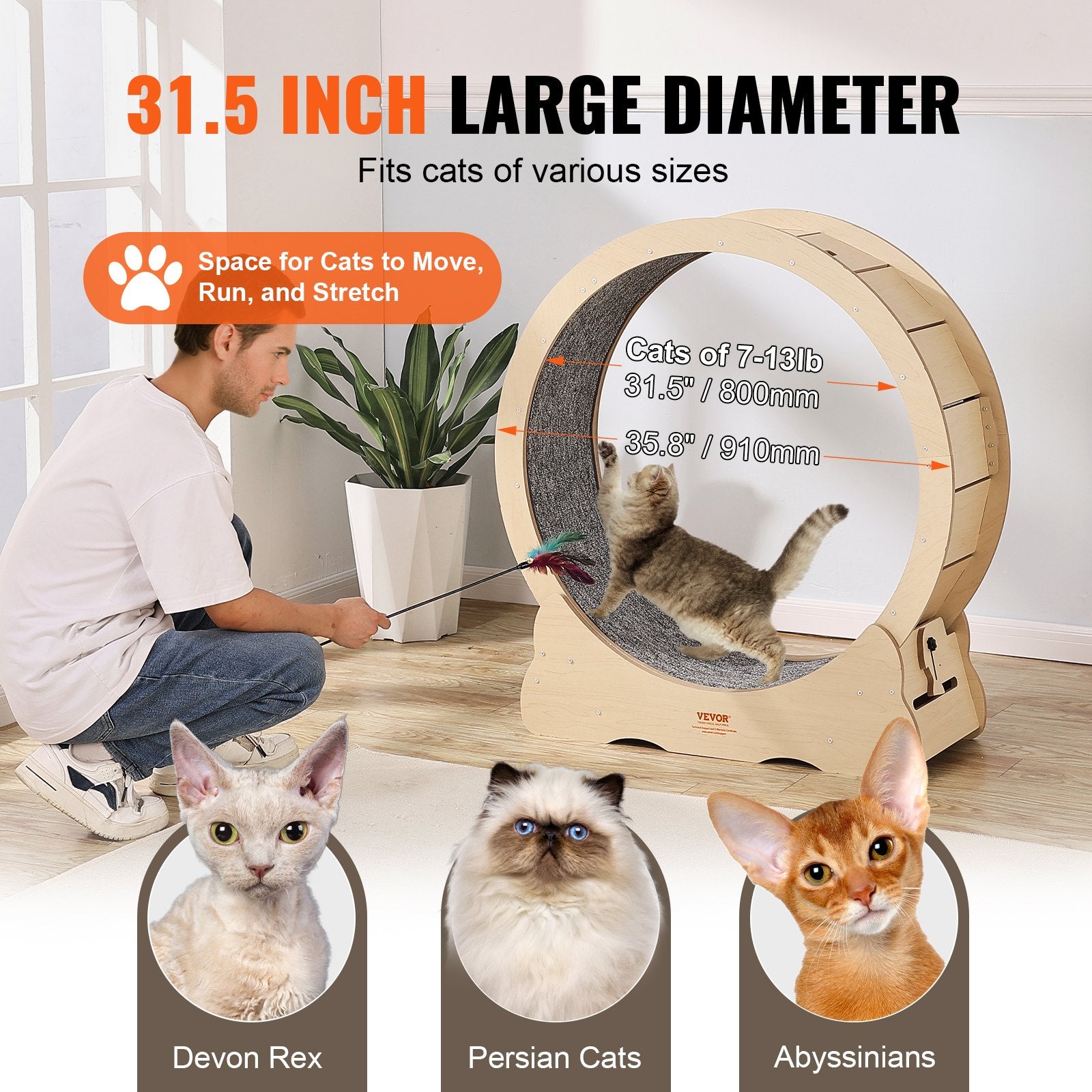Treadmill Wheel For Indoor Cats