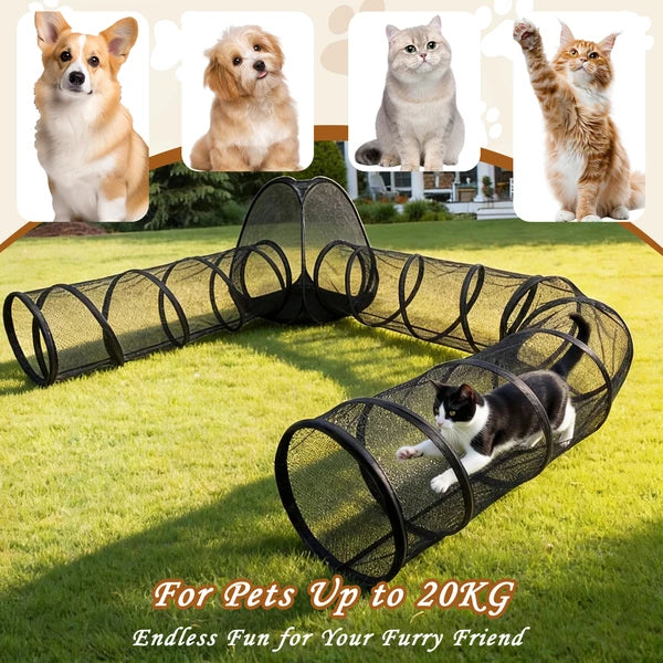 Outside Playpen